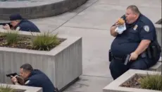 糟了，攒了一年的功德全没了！！！